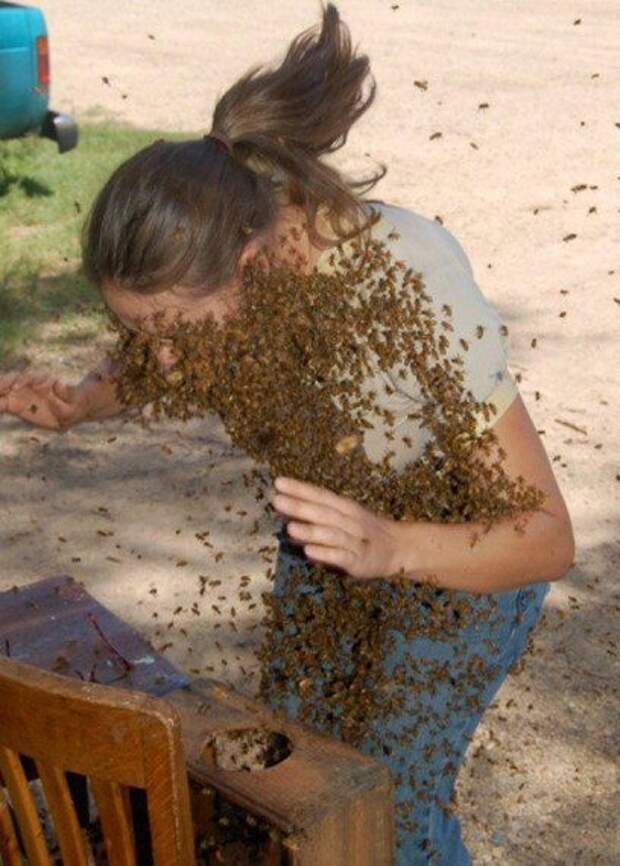 Приколы, приколы, приколы...