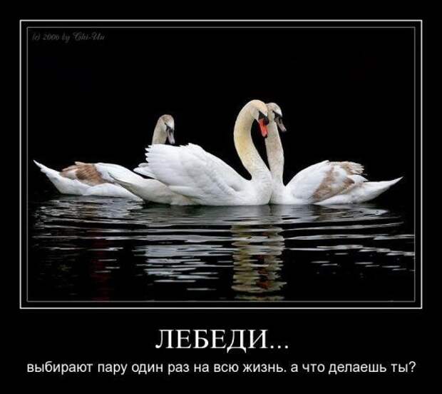 Демотиваторы о любви № 1
