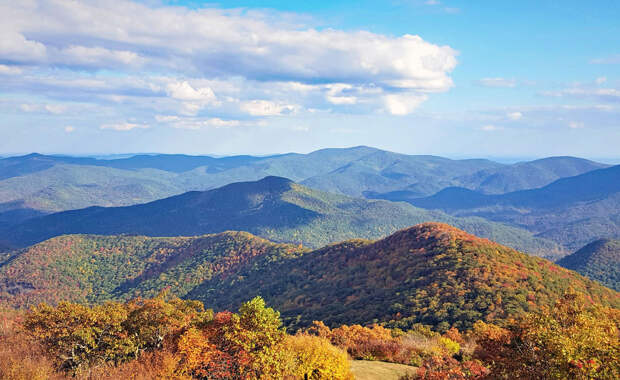 Вид с Brasstown Bald - самой высокой горы в Джорджии