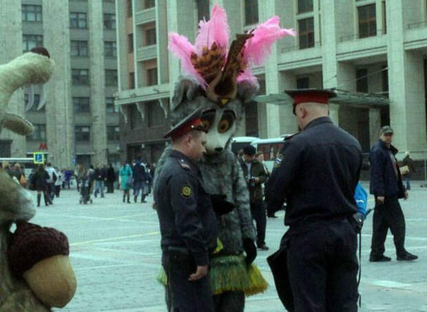 Подозрительный лемур. Подозрительный лемур.