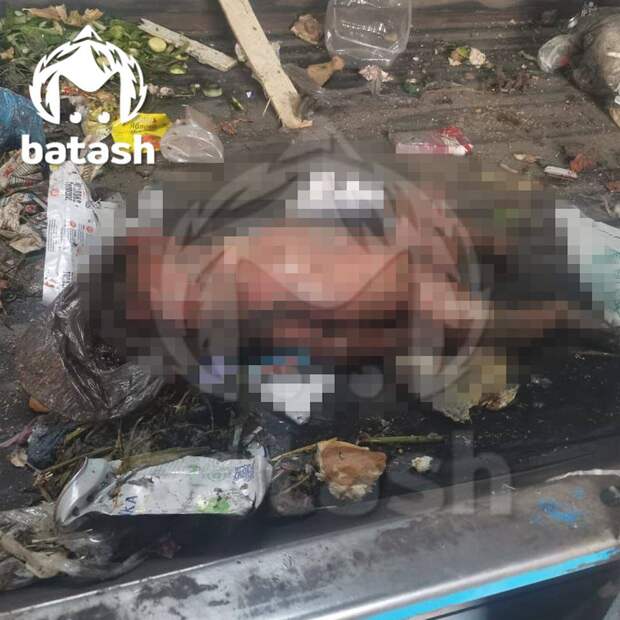 Труп младенца нашли на мусорной свалке в Башкирии