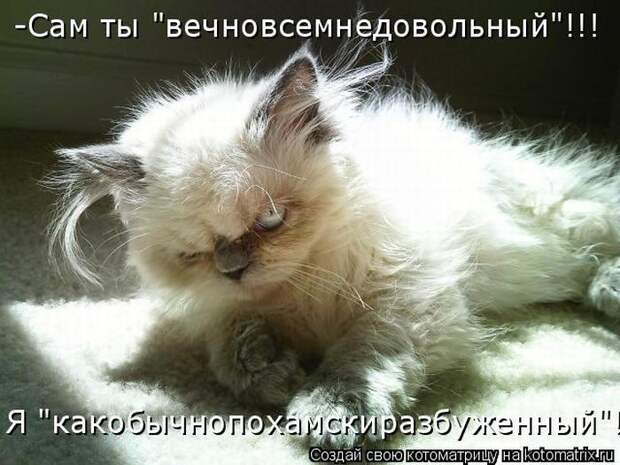 Лучшие котоматрицы недели (50 фото) Лучшие котоматрицы недели (50 фото)
