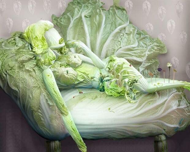 Китайское овощное исскуство (13 фото) Китайское овощное исскуство (13 фото)