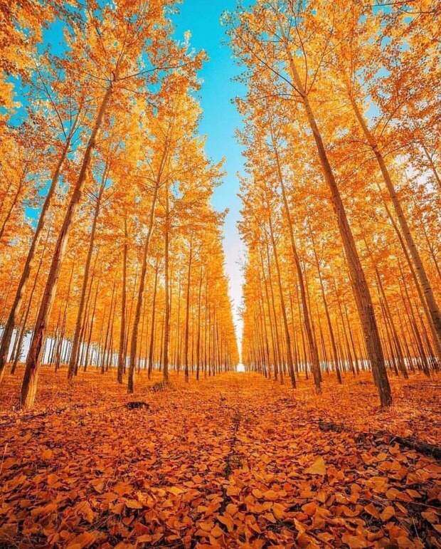 20 атмосферных фото, после которых вы начнете больше любить осень