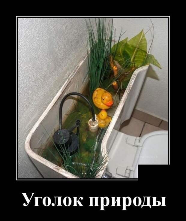 Демотиватор про уголок природы