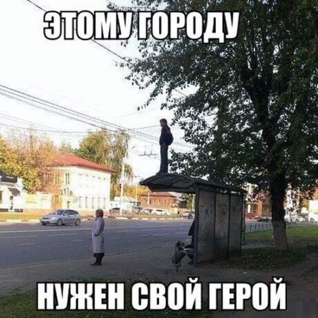 Свежие прикольные картинки (56 шт)