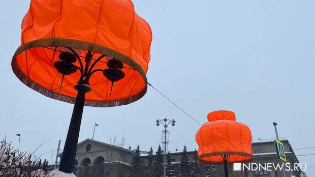 Зима – всё. Радя снял абажуры