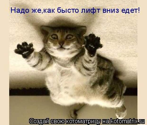 Давайте улыбаться вместе! :) (23улыбоки)
