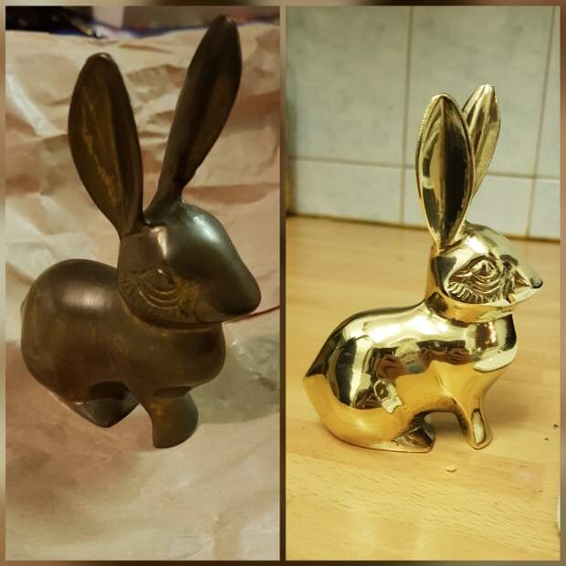 Вот это да! / Фото: imgur.com/user/TheInexperiencedGardener Вот это да! / Фото: imgur.com/user/TheInexperiencedGardener