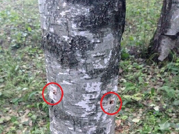 места химических уколов