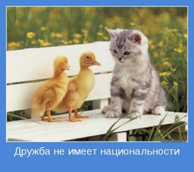 Мотиваторов будет достаточно.