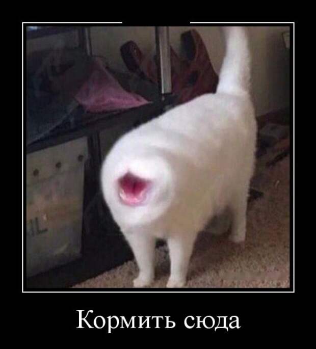 Демотиваторы (30 фото)