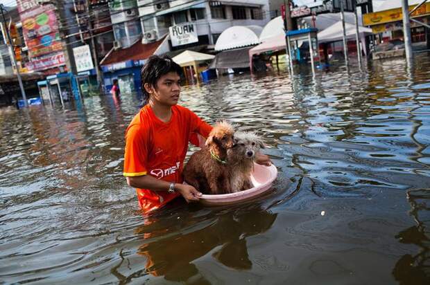 Наводнение в Бангкоке, Таиланд
