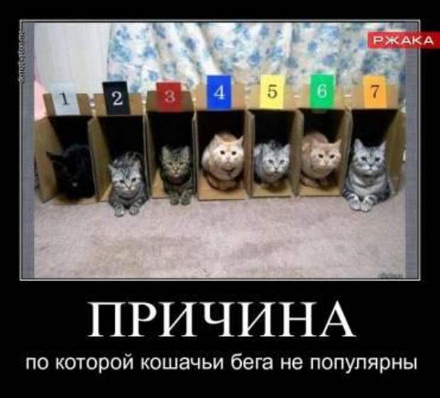 Веселые утренние демотиваторы из сети