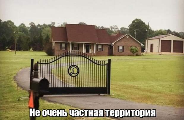 Пока не увидишь - не поверишь!