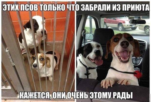 Картинки по запросу фото приколы жизнь