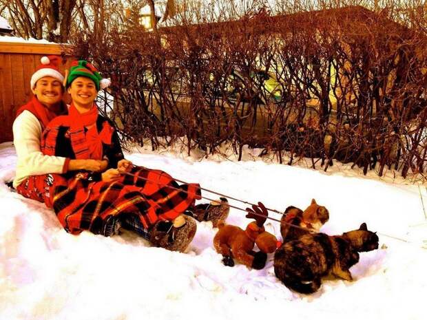 kartinok-veselyh-interesnyh-kartinki-smeshnye-kartinki-fotoprikoly