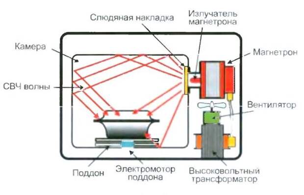 Чем опасна еда, разогретая в микроволновке
