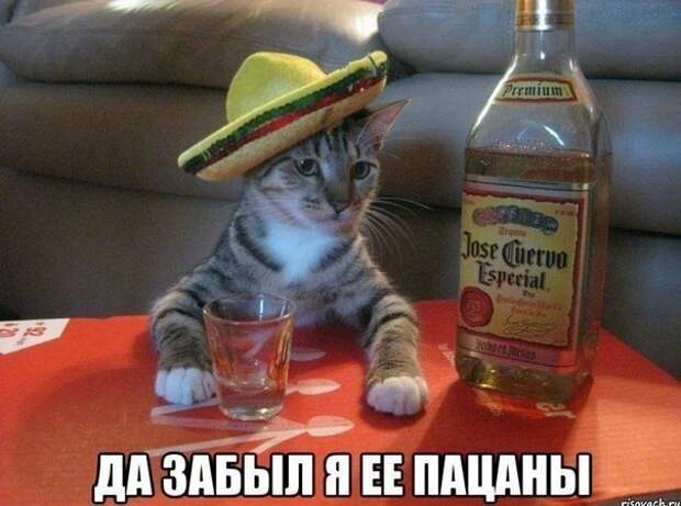 Всяко - разно 49 ))) Всяко - разно 49 )))