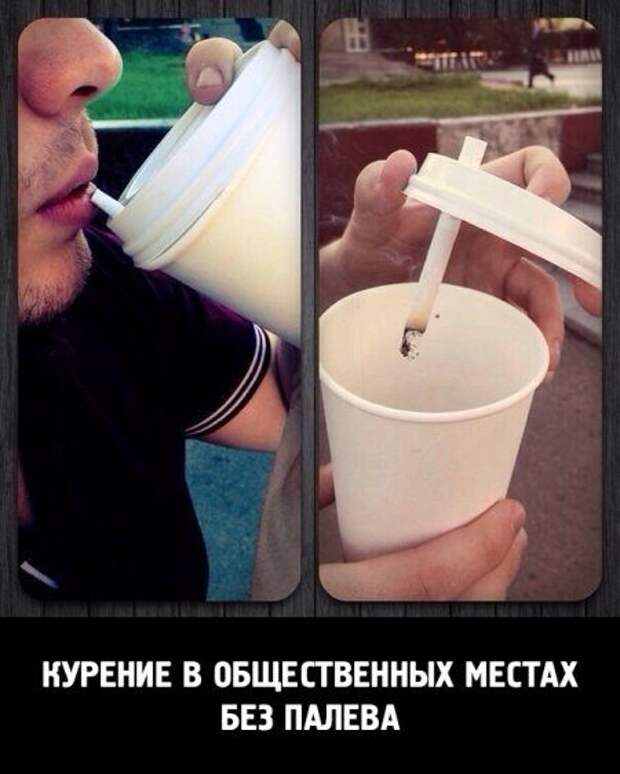 Веселые картинки, этакие фотографические