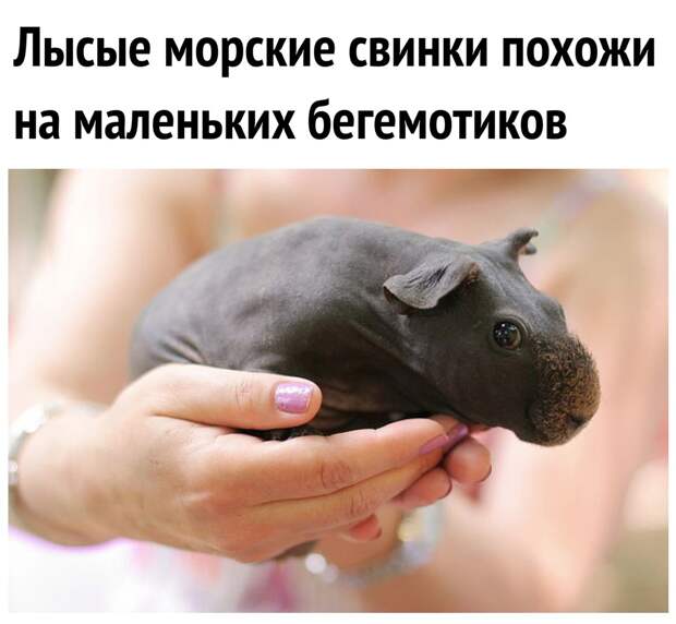 pixmafia.com интересные фото на pixmafia.com