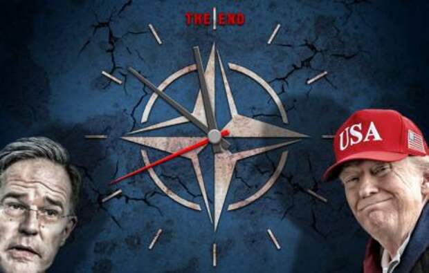 Медведю развязали лапы: Предупреждение России, обещания НАТО и опасное самодовольство Запада