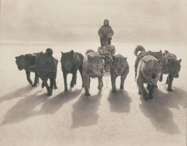 Первая Австралийская антарктическая экспедиция в фотографиях Фрэнка Хёрли 1911-1914 56