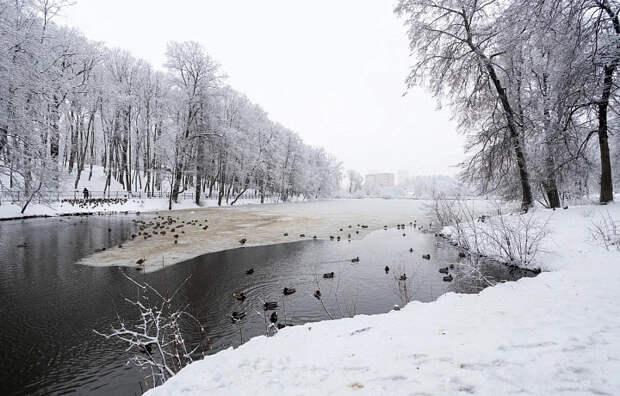 Тулякам предрекли аномально холодную зиму в 2026 году