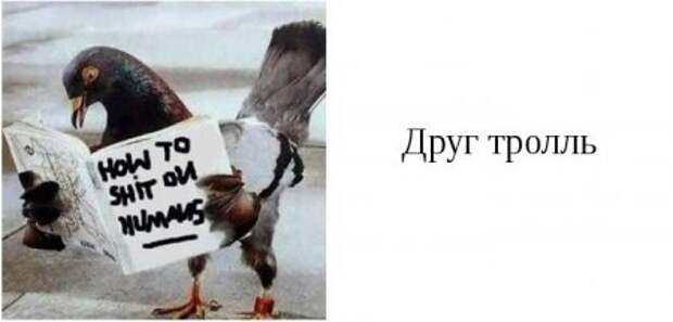 Такие друзья, есть у каждого из вас.