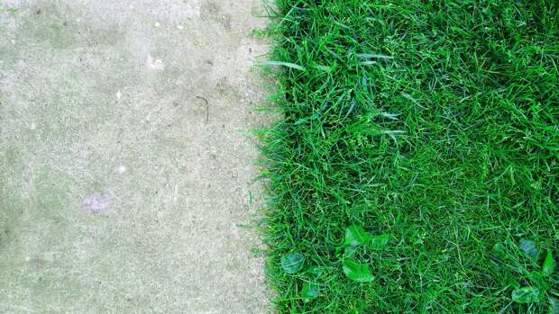 11 Ошибок, которые могут убить ваш газон