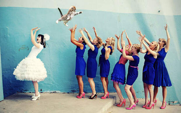 кошка невеста букет невесты 09 Последняя тенденция в свадебной моде! Вместо букета невесты   кошка!