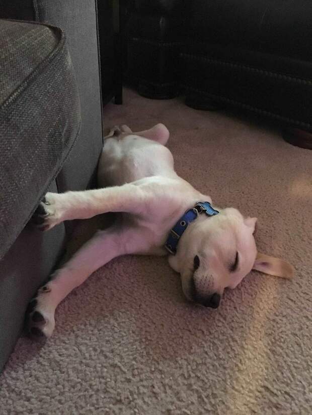 I Don't Know How He Got In This Position