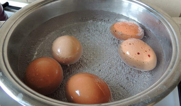 Чтобы сварить яйца целыми, нужно учитывать один важный совет. /Фото: povodu.ru