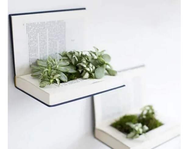 Книжная подборка