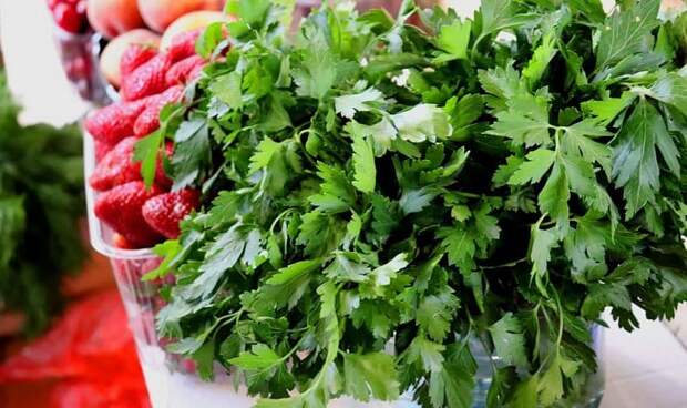 Эксперты рассказали, какую зелень можно вырастить на подоконнике прямо сейчас