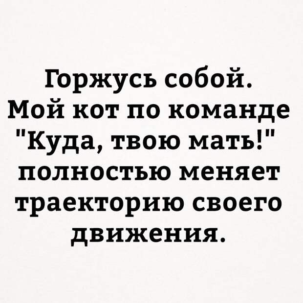 Прикольные картинки с надписями для веселья (11 фото) Прикольные картинки с надписями для веселья (11 фото)