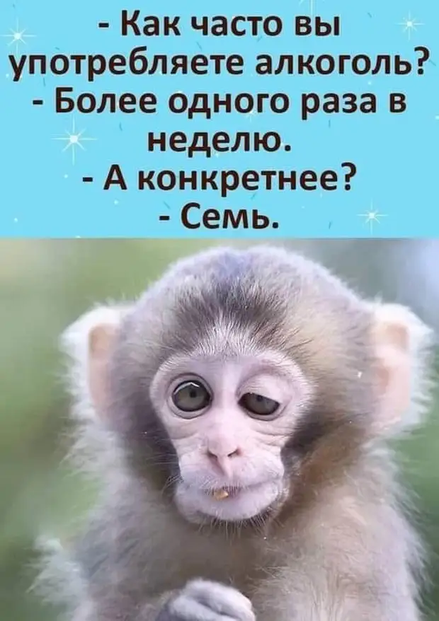 Девушка у гадалки: - В меня влюблены два парня, Петя и Вася, скажите, кому из них повезет? Гадалка, раскинув карты: - Повезет Пете, ты выйдешь замуж за Васю... Девушка у гадалки: - В меня влюблены два парня, Петя и Вася, скажите, кому из них повезет? Гадалка, раскинув карты: - Повезет Пете, ты выйдешь замуж за Васю... говорит, делать, Всем , раввин, момент, сдать, велели, начинается, ксендз, рублей, землю, одной, жизнь, слышу, повернул, случайноПодхожу, получилось, углом, откуда, суровый