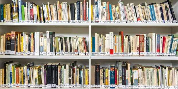 Книголюбы примут участие в восьмом этапе проекта «Списанные книги»