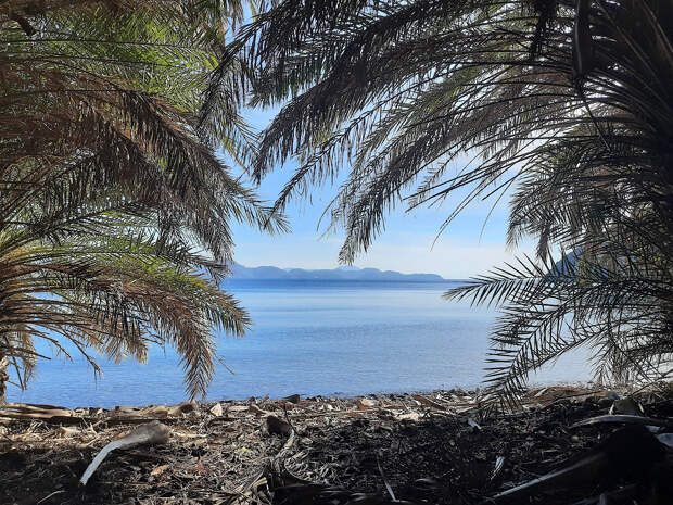 Пальмовый оазис на Эгейском море