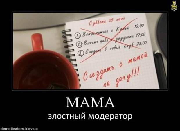 Новые демотиваторы, смешные фразы в картинках.