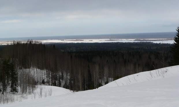 Архангельская область в числе первых по лесоустройству