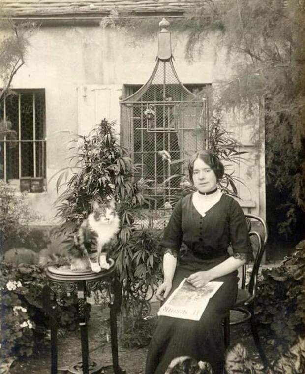 Девушка, котик и интересный кустик, Париж, 1910-е история, ретро, фото