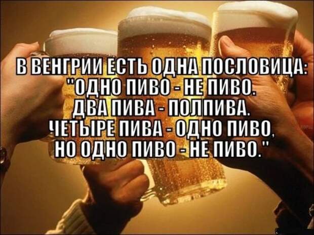 Прикольных картинок подборка (43 шт)