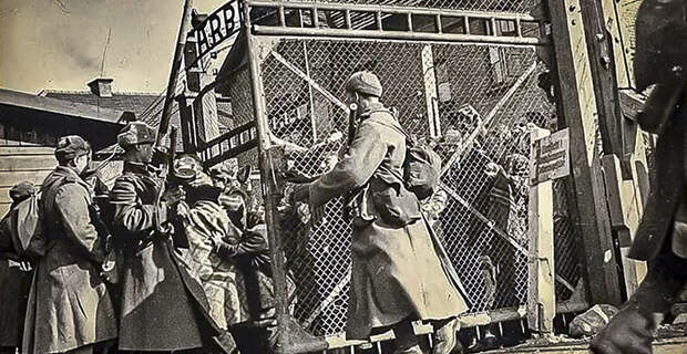Освобождение Освенцима.