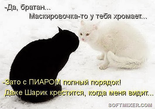 4208ee9ac109c4896c7c0b758f5_prev