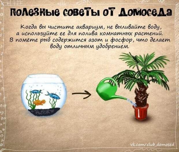 советы