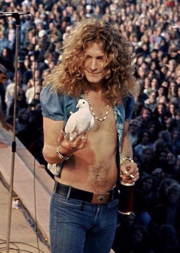 Роберт Плант из Led Zeppelin, держит голубку, которая села на его руку во время концерта в 1973 году. история, люди, мир, фото