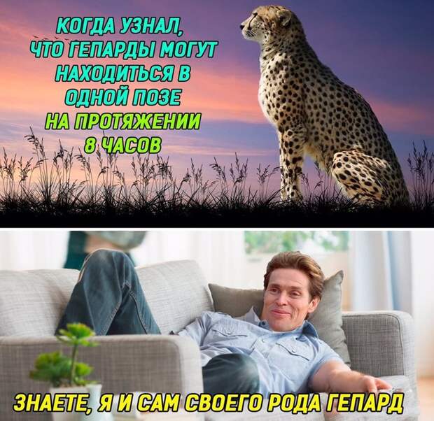 Человек терпение Человек терпение