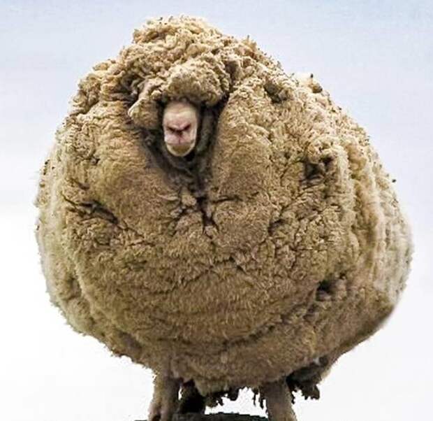 Таким мы его не видели: 10 фотографий, показывающих мир с незнакомой нам стороны