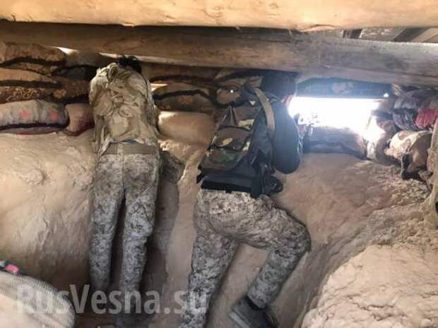 Сирия: Охота на крыс — в «зелёной пустыне» выжигают выживших боевиков (+ФОТО, ВИДЕО) | Русская весна